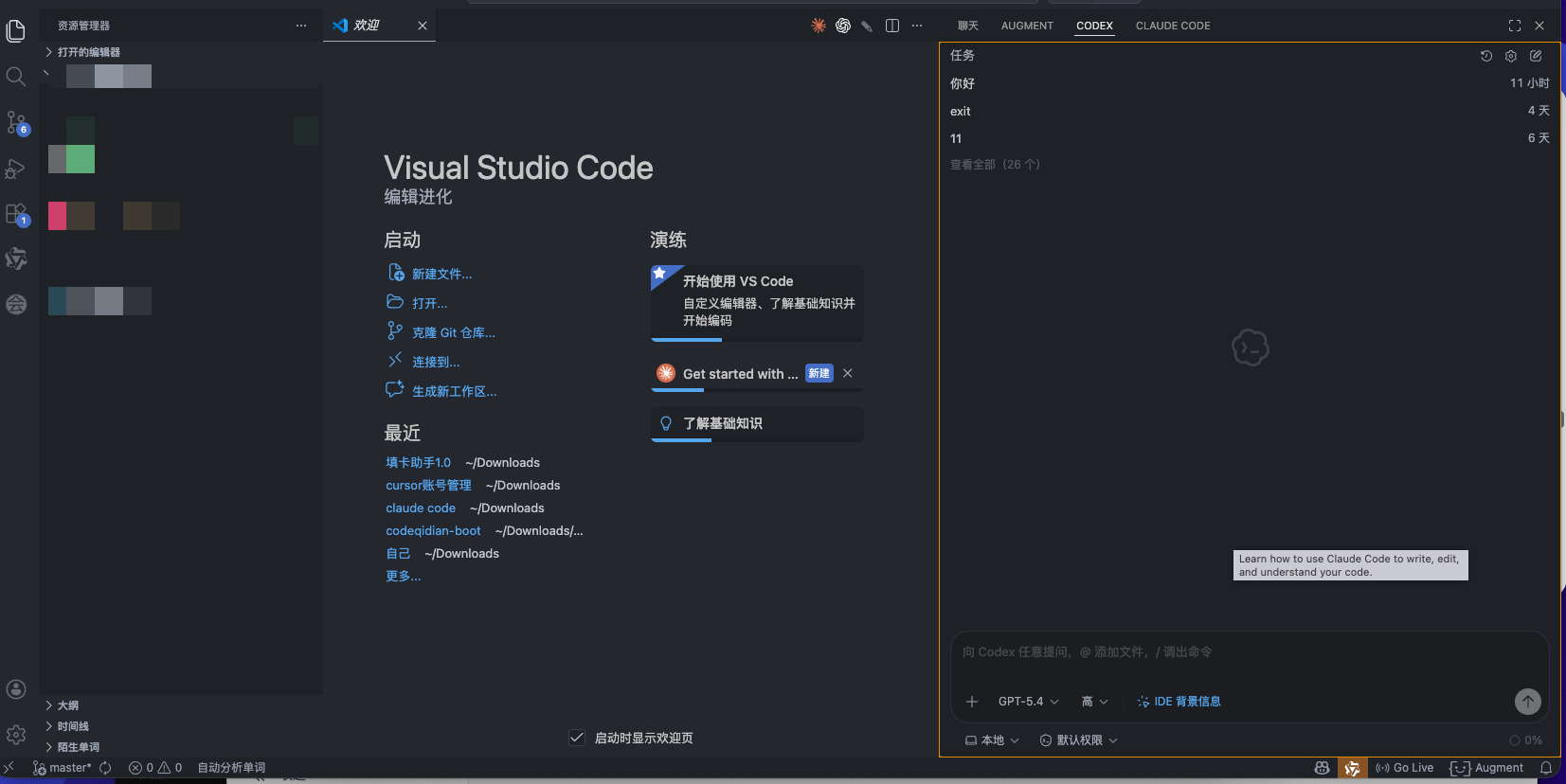 Codex 配置后界面截图