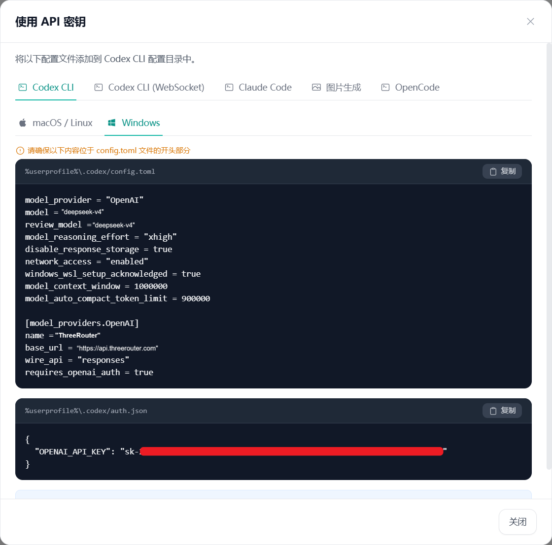 Codex 配置选项截图