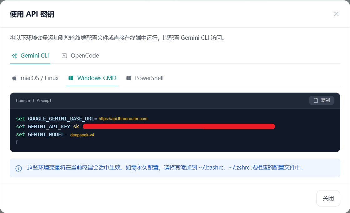 Gemini 配置选项截图