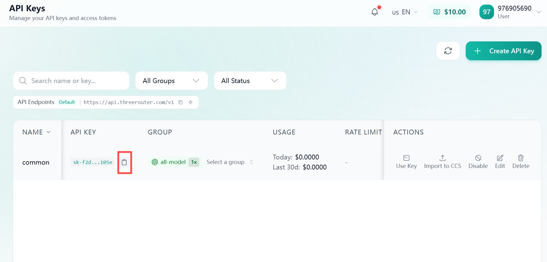 复制 API Key 截图